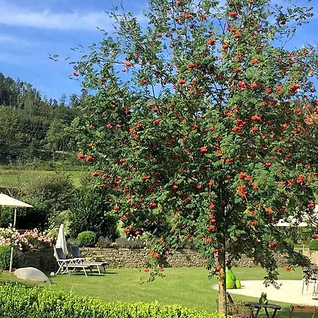 Am Bach イン Übelbach